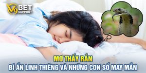 Mơ Thấy Rắn - Bí Ẩn Linh Thiêng Và Những Con Số May Mắn